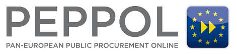 Rechnungsstellung über PEPPOL 100 Rechnungen / Monat